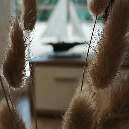 Ferienwohnung-goder *